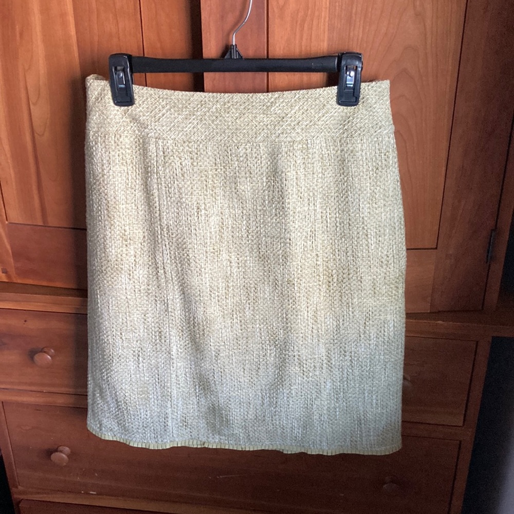 Ann Taylor skirt